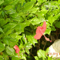фото из отзыва ID 2732512