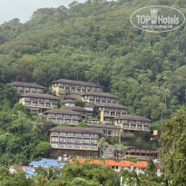 фото из отзыва ID 2732531