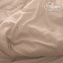 фото из отзыва ID 2732526