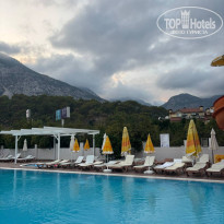 фото из отзыва ID 2732536