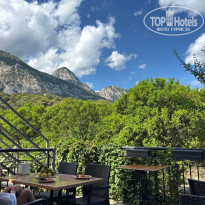 фото из отзыва ID 2732536