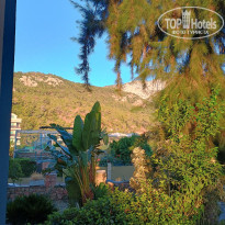 фото из отзыва ID 2732556