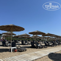 фото из отзыва ID 2732566