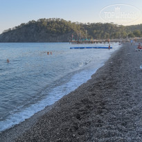 фото из отзыва ID 2732573