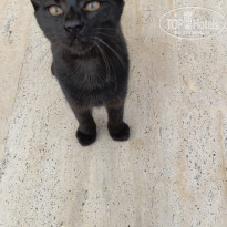 фото из отзыва ID 2732573