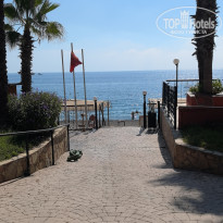 фото из отзыва ID 2732573