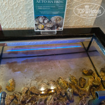 фото из отзыва ID 2732357