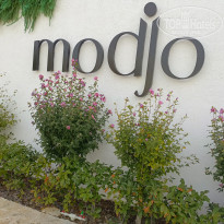 фото из отзыва ID 2732357