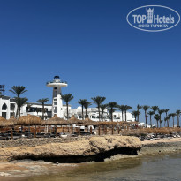 фото из отзыва ID 2732600