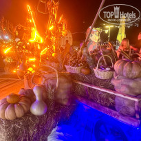 фото из отзыва ID 2732626