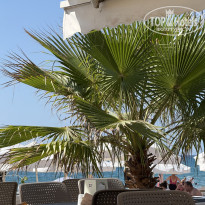 фото из отзыва ID 2732630