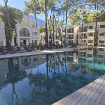 фото из отзыва ID 2732663