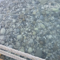 фото из отзыва ID 2732663