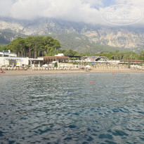 фото из отзыва ID 2732663