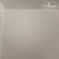 фото из отзыва ID 2732650