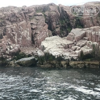 фото из отзыва ID 2732650