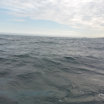 фото из отзыва ID 2732650