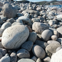 фото из отзыва ID 2732650