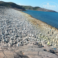 фото из отзыва ID 2732650