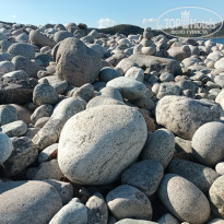 фото из отзыва ID 2732650