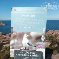 фото из отзыва ID 2732650