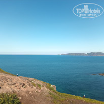 фото из отзыва ID 2732650