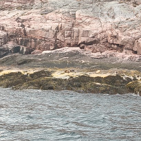 фото из отзыва ID 2732650