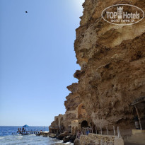 фото из отзыва ID 2732676