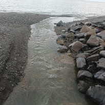 фото из отзыва ID 2732677