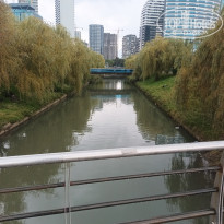 фото из отзыва ID 2732677