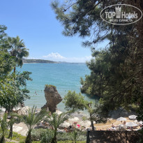 фото из отзыва ID 2732679