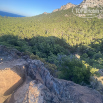 фото из отзыва ID 2732696