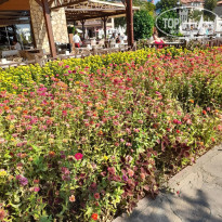 фото из отзыва ID 2732709