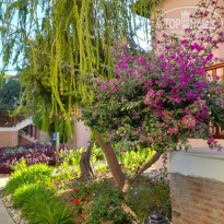 фото из отзыва ID 2732709