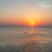 фото из отзыва ID 2732718