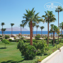 фото из отзыва ID 2732722