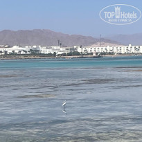 фото из отзыва ID 2730395