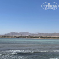 фото из отзыва ID 2732748