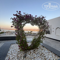 фото из отзыва ID 2732753