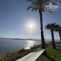 фото из отзыва ID 2732753