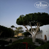 фото из отзыва ID 2732753