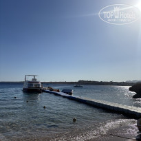 фото из отзыва ID 2732753