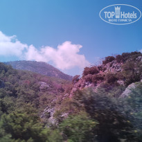 фото из отзыва ID 2732764