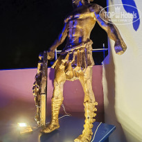 фото из отзыва ID 2732764