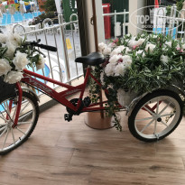 фото из отзыва ID 2732791