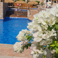 фото из отзыва ID 2732809