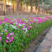 фото из отзыва ID 2732809