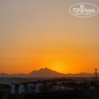 фото из отзыва ID 2732809