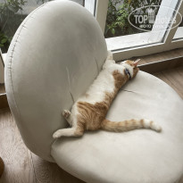 фото из отзыва ID 2732818