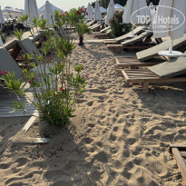 фото из отзыва ID 2732825